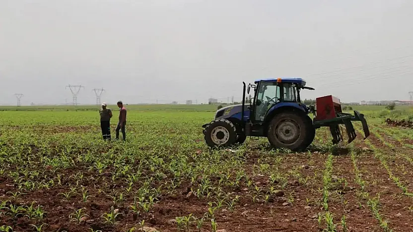 Üretici Maliyetleri Tarımda Tırmanıyor: Meyvede Yıllık Artış %109'u Aştı