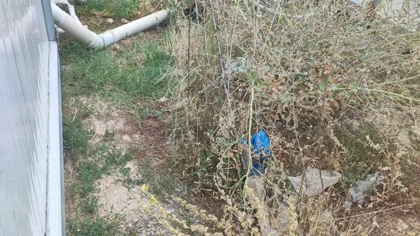 Yıldız: Konteynerde Hayat Durdu