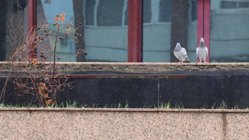 Yurt Genelinde Soğuk ve Yağışlı Hava Etkili Olacak