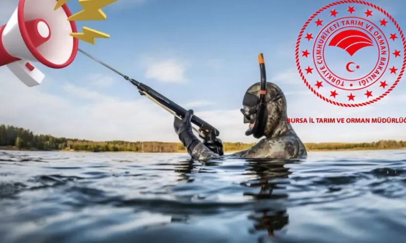 Amatör balıkçılar için sualtı avcılığında yeni zorunluluk