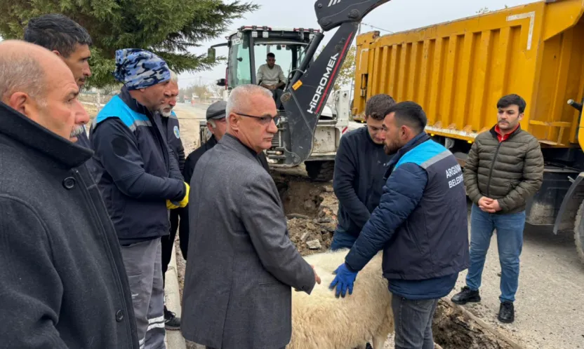 Arguvan'da doğalgaz çalışmaları başladı