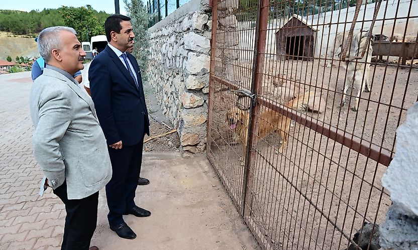 Başkan Taşkın, Hayvan Barınağında İncelemelerde Bulundu