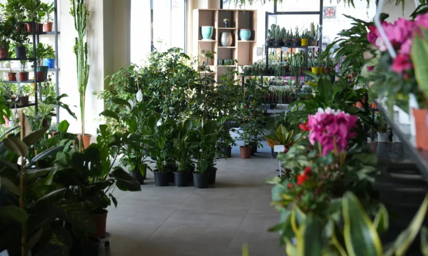 Battalgazi Belediyesi'nden Vatandaşların Yaşam Kalitesini Artıran Hizmetler