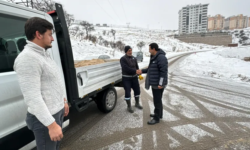 Battalgazi'de Karla Mücadele Teyakkuzu