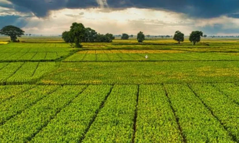 Bir milyar 46 milyon liralık tarımsal destek ödemeleri çiftçinin hesabına yatırılacak