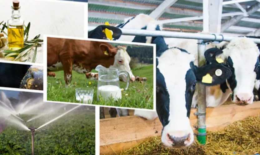 Çiftçilere tarımsal destekleme ödemesi yapılacak