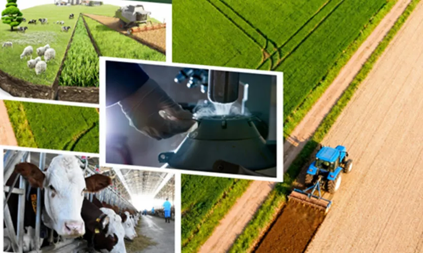 Çiftçiye 227 Milyon Liralık Destek Bugün Hesaplarda