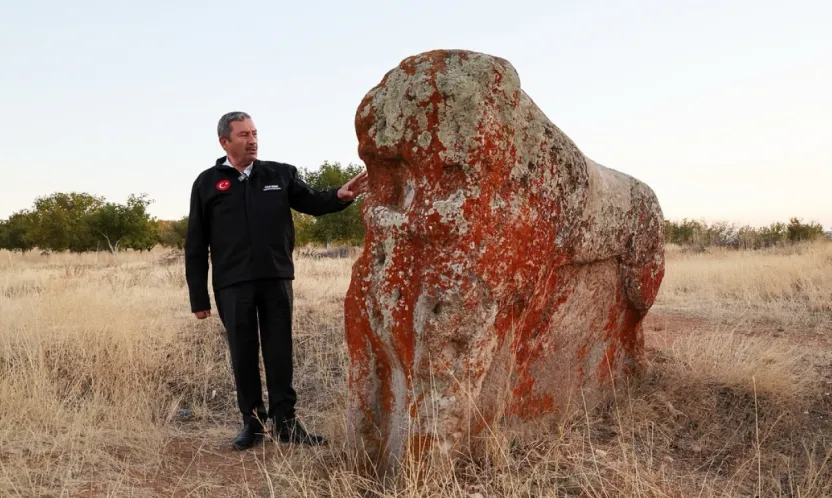 Darende'de Aslantaşlara Yerinde Koruma
