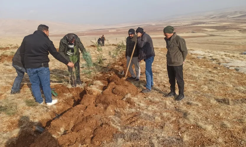 Darende'de Örnek Çevre Hareketi: Öğrenci ve Öğretmenlerden Fidan Desteği