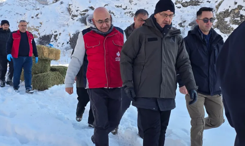 Doğa Dostu Dayanışma: Zorlu Kışta Can Dostlarımıza Umut