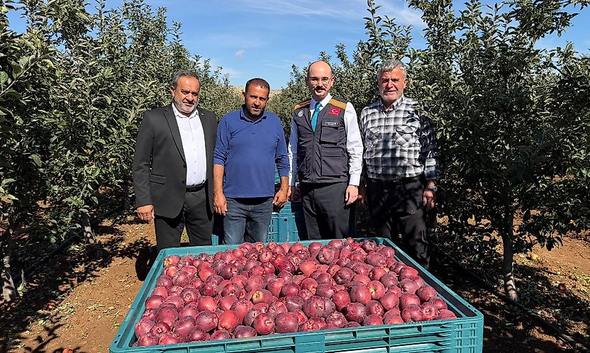 Doğanşehir'de Elma Bereketi: Hedef 16 Bin 549 Ton