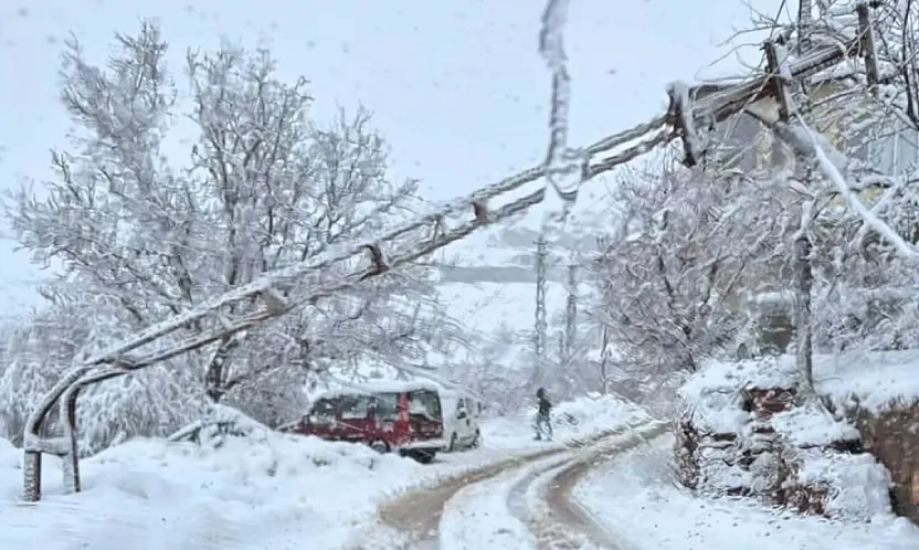 Doğanşehir'de Kar ve Tipi Elektrik Direğini Devirdi