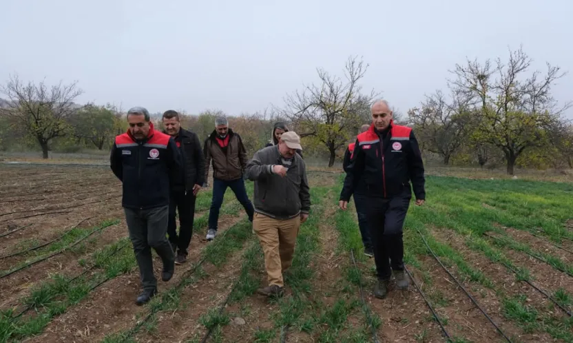 Dünya kayısı başkenti Malatya'da safran üretimi