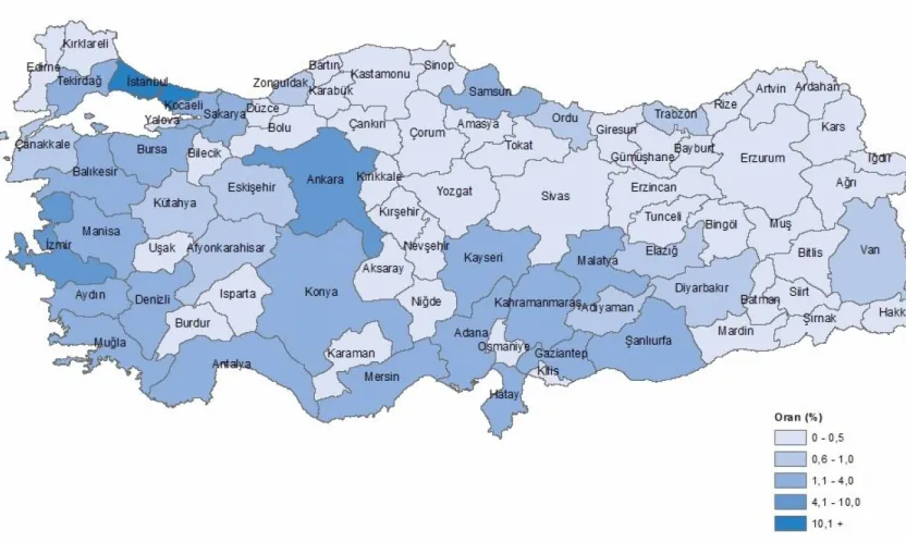 Girişimcilik İstatistikleri Revize Edildi: 2024'te Doğum Oranı %15,8