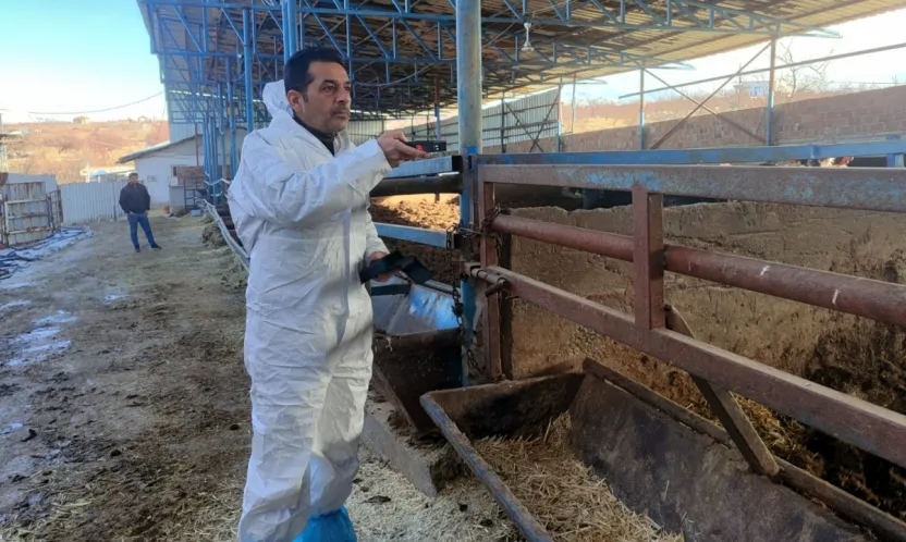 Hayvancılıkta Yeni Dönem: Kapasite Raporları Artık TÜRKVET Üzerinden Verilecek