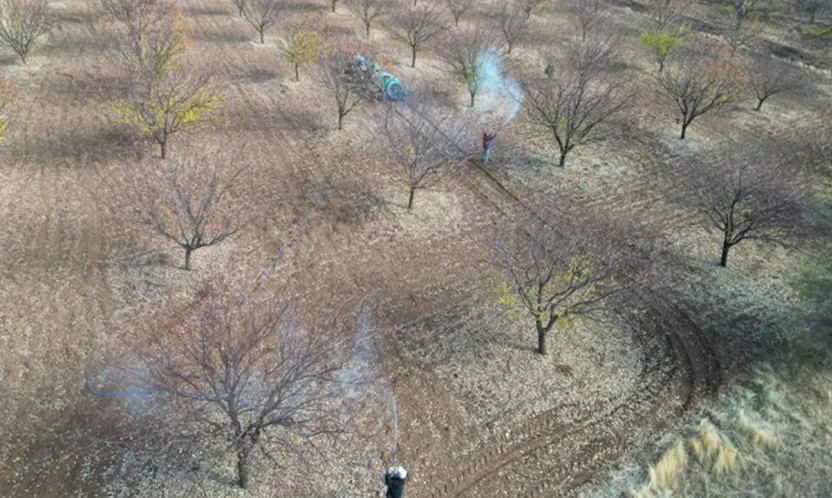 İl Müdürü Osman Akar'dan Kayısı Üreticilerine Sonbahar Uyarısı