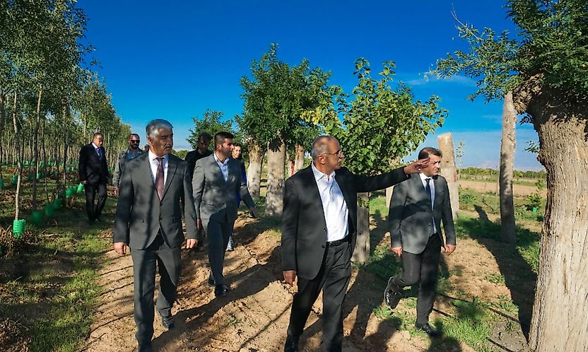 İstanbul'da Ağaç Tartışması, Malatya'nın Örneği Gündem Oldu