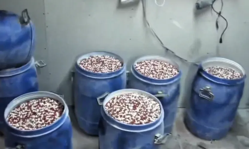 İstanbul ve İzmir'de uyuşturucu operasyonu: Milyonlarca hap ele geçirildi