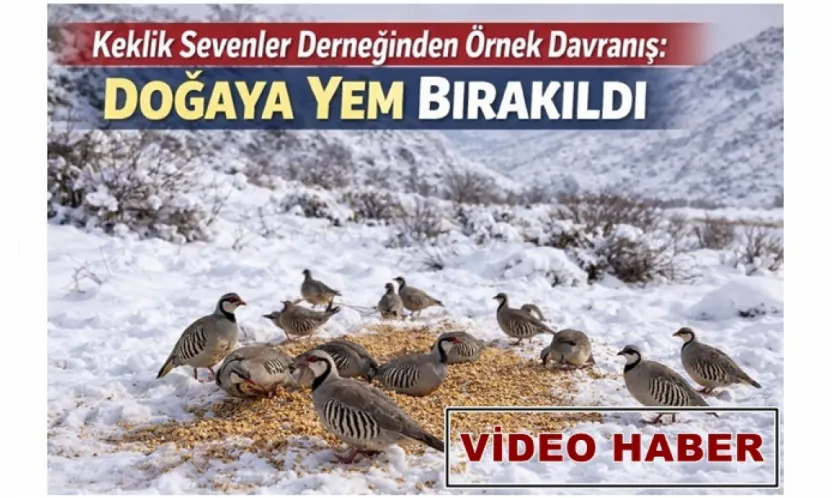 Kar Altında Yaşam Mücadelesi: Doğa Koruma Derneğinden Av Uyarısı