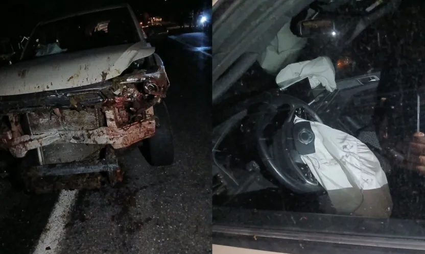 Karakoçan'da Kamyonet Koyun Sürüsüne Çarptı: 30 Hayvan Telef