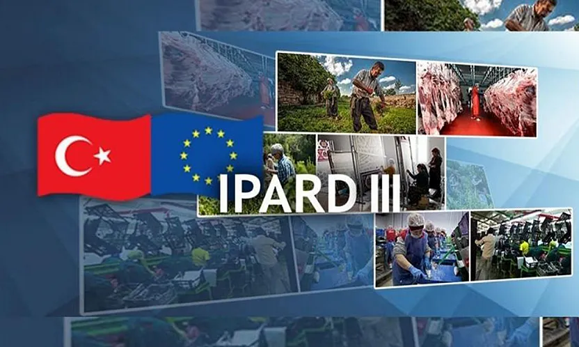 Kırsalda Büyük Destek: 214 Girişimciye 1,7 Milyar TL Hibe