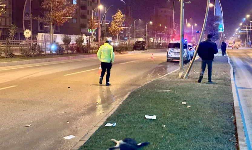 Köpeğe Çarpan Otomobil Kontrolden Çıkıp Refüje Çarptı