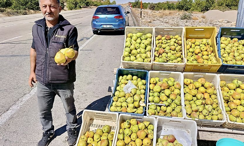 Kürecik'in meşhur bal armudu tezgâhlarda yerini aldı