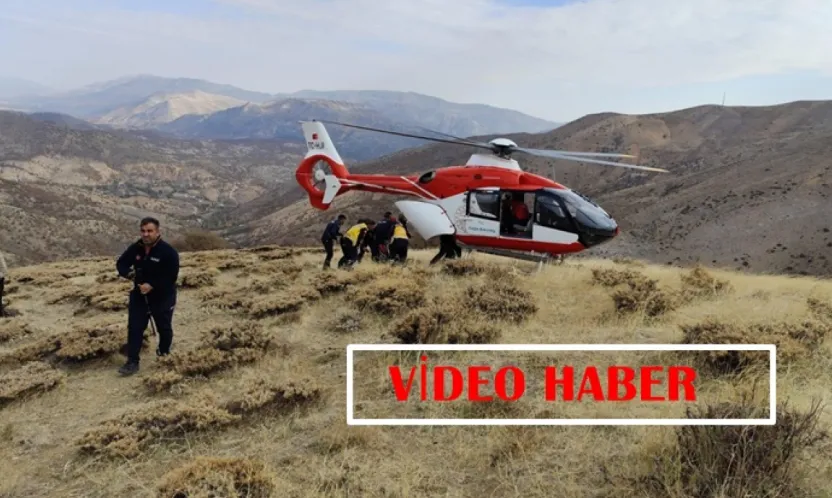 Malatya'da Ağaç Kesimi Sırasında Kaza: 49 Yaşındaki şahıs Uçuruma Yuvarlandı