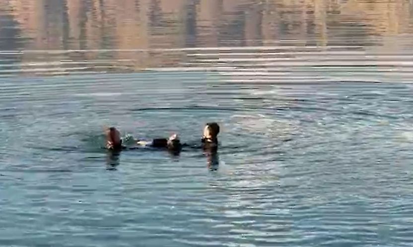 Malatya'da barajda erkek cesedi bulundu