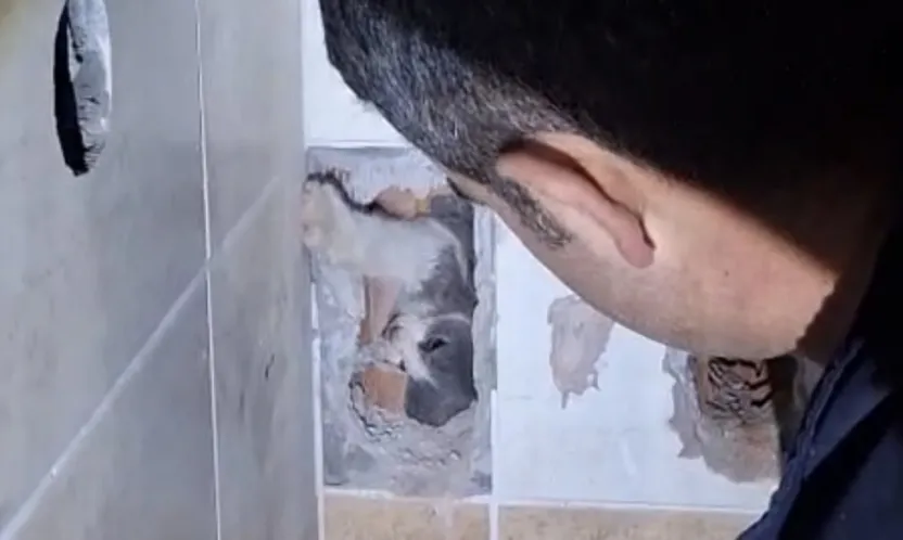 Malatya'da Duvar Arkasına Sıkışan Kedi İtfaiye Ekiplerince Kurtarıldı