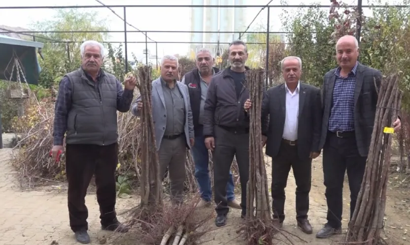Malatya'da Meyve Fidanı Satış Sezonu Açıldı