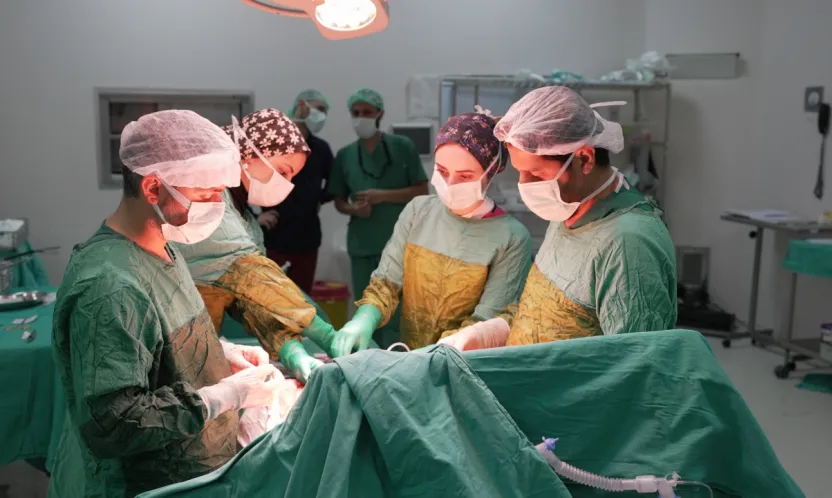 Malatya'da Zorlu Ameliyat: Böbrek ve Böbrek Üstü Bezindeki Dev Tümör Alındı