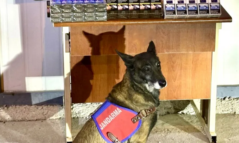 Malatya-Kayseri Yolunda Kaçak Sigara Operasyonu