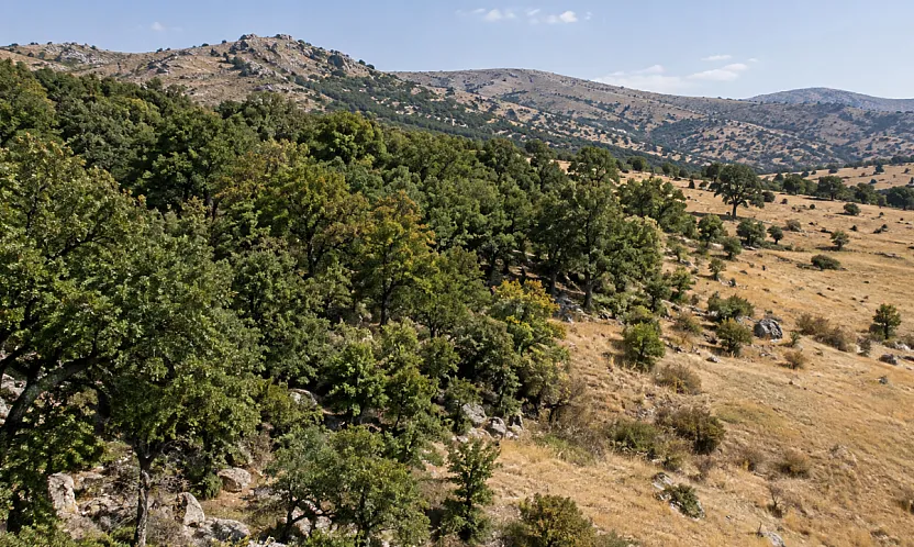 Malatya Kuluncak'ta Orman Sınırlarıyla İlgili Yeni Karar