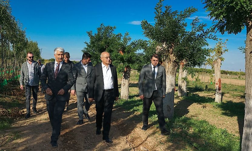 Malatya'nın Yeşil Dokusuna Büyükşehir Desteği: Üretim Merkezi Çalışıyor
