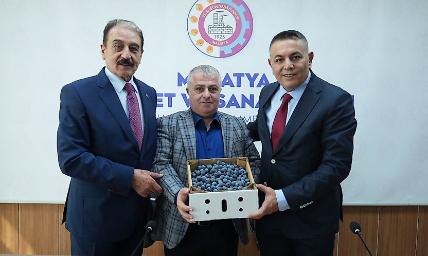 'Malatya Yıkılmış Değil, Çökmüş Bir Şehir'