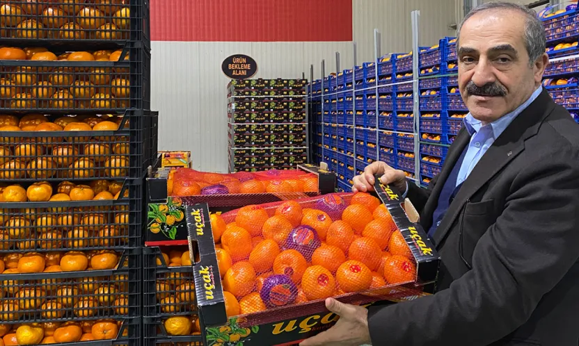 Mandalina ihracatı rekor kırdı