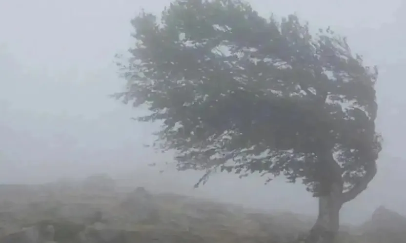 Meteoroloji 4 il için sarı kod verdi: Sağanak, dolu ve hortum ihtimali