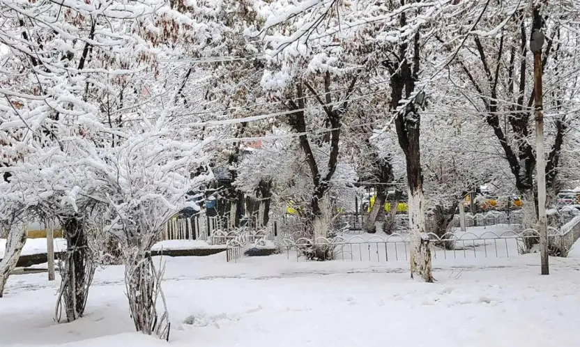 Meteoroloji'den Kuvvetli Kar Yağışı Uyarısı: Doğu ve Karadeniz Dikkat!