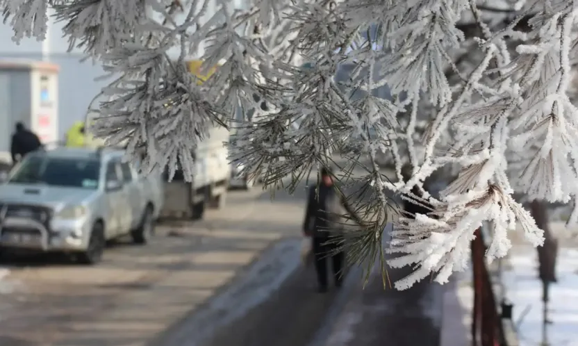Meteoroloji'den kuvvetli yağış, sis ve don uyarısı
