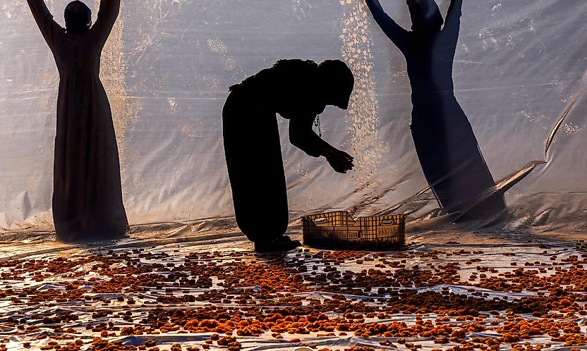 MTÜ ve Battalgazi Belediyesi'nin Fotoğraf Yarışmasında Ödüller Sahiplerini Buldu