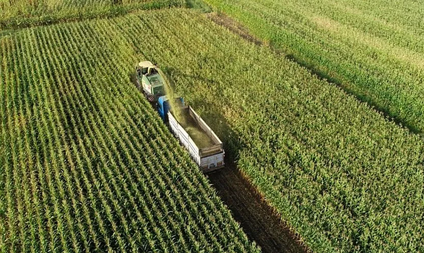 Organize Tarım Bölgeleri Büyüyor: Üretimde 1,1 Milyon Ton Hedefi