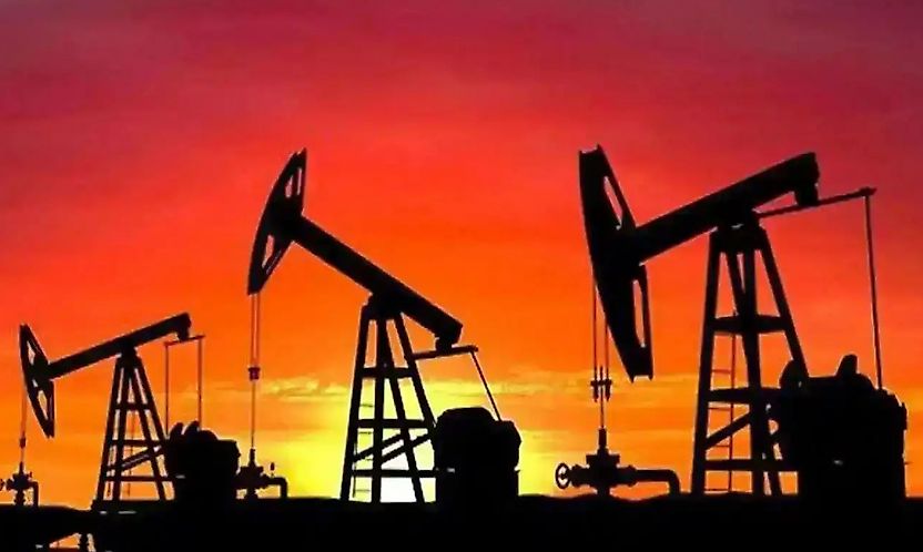Petrol Fiyatlarında Düşüş: Brent 101,69 Dolara İndi