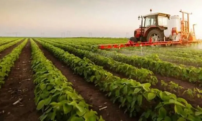 Tarım-ÜFE Ağustos'ta Yüzde 0,93 Geriledi