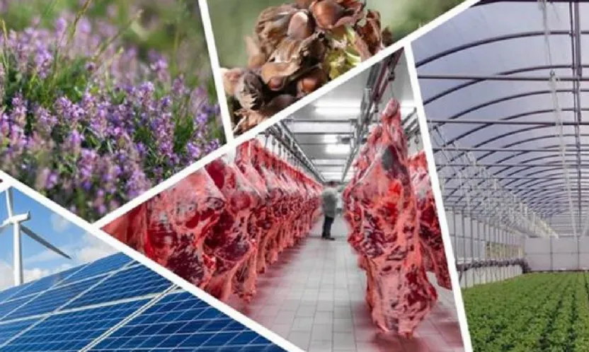 Tarımda Büyük Destek Paketi: Kadın ve Gençlere Öncelik