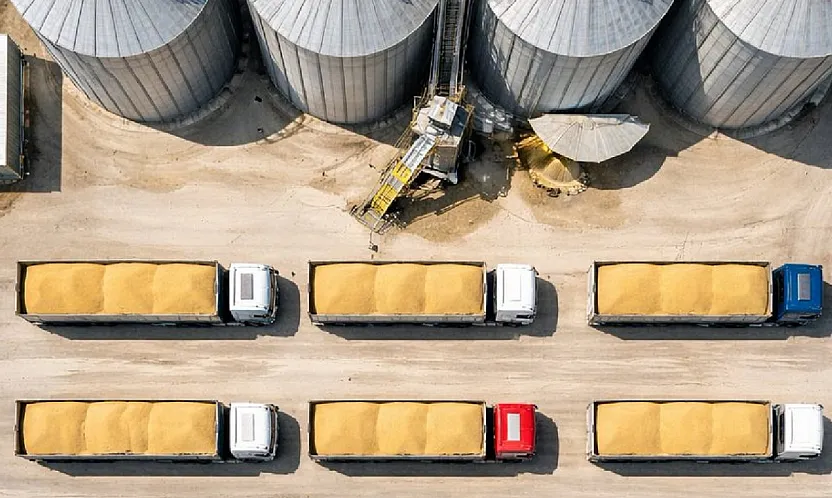 TMO 1,2 milyon ton buğdayı TÜRİB üzerinden satışa sunuyor