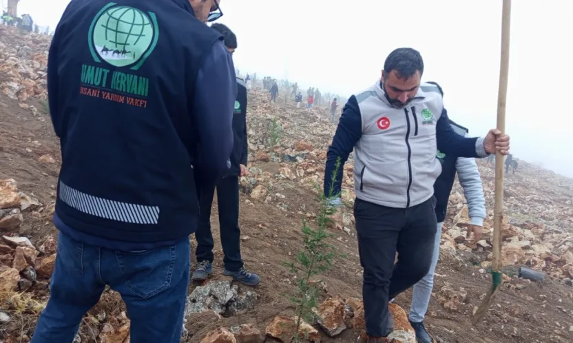 Umut Kervanı'ndan Beydağı'nda Çam Fidanı Seferberliği