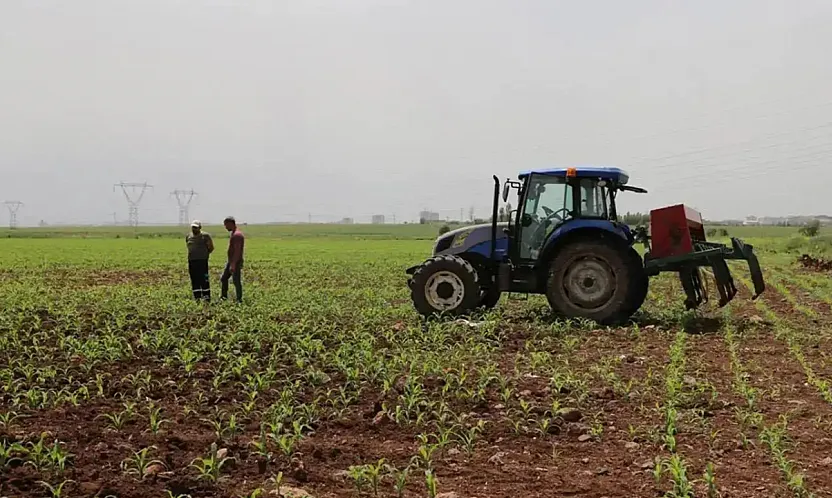 Üretici Maliyetleri Tarımda Tırmanıyor: Meyvede Yıllık Artış %109'u Aştı