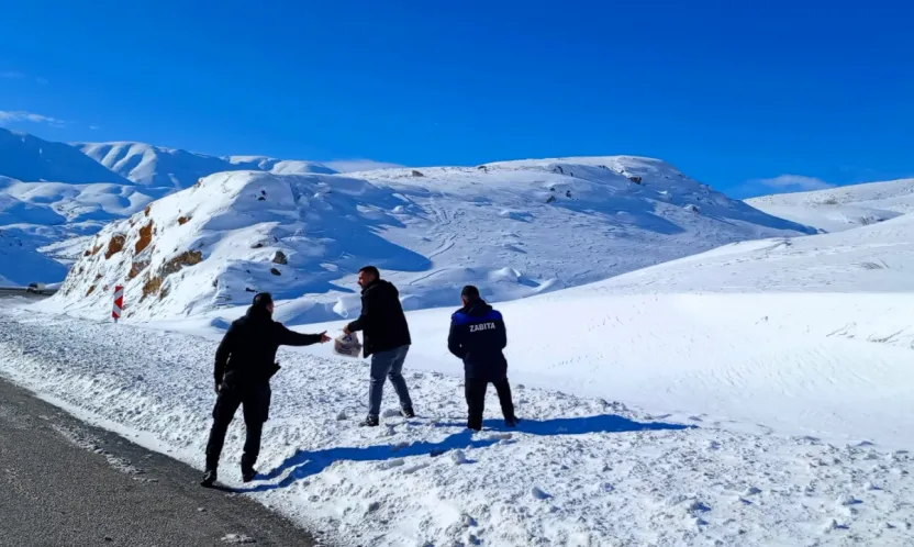 Zabıta'dan Yaban Hayatına Şefkat Eli